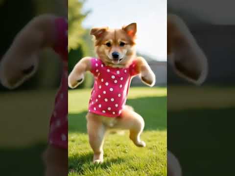 Dog Dance #cute #funny #dance #dog #whatsappstatus #13million #cuteanimal #ekmotahathighumechala
