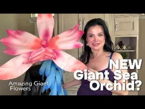 DIY Giant Sea Orchid — Waterproof Foam Flower Tutorial
