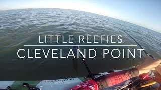 preview picture of video 'Cleveland Point Reef Fishing from Dragon Kayaks'