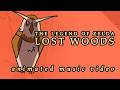 The Legend Of Zelda LOST WOODS Animated Short