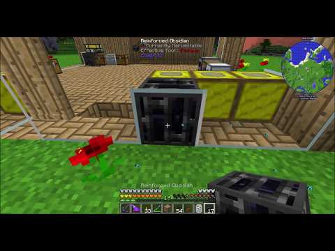 MCEternal Ep113 Tick Accelerating Bee