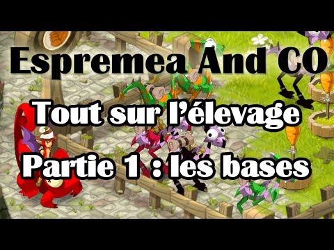 comment regagner des point d'energie dans dofus