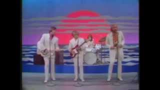 The Beach Boys - Do It Again (ESS - 1968)