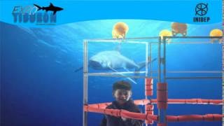 DIA 2 Expo Tiburon210