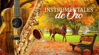 2 Horas de Instrumentales de Oro - Melodías Inolvidables para Relajarse y Recordar