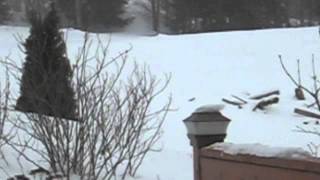 soon this space will be too small