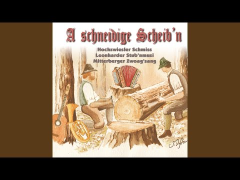 Vom Rebstock zum Wein