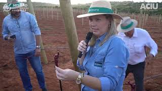 Missão Empresarial Uberaba - 10ª edição - Vinícola ArPuro