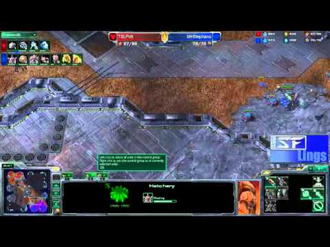 Polt - Stephano G1 Assembly Winter 2012