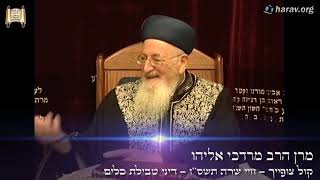 שמחה במצוות ודיני טבילת כלים - פרשת חיי שרה - כב' חשון תשס"ז - מרן הרב מרדכי אליהו (הרב מרדכי אליהו זצ"ל) - התמונה מוצגת ישירות מתוך אתר האינטרנט יוטיוב. זכויות היוצרים בתמונה שייכות ליוצרה. קישור קרדיט למקור התוכן נמצא בתוך דף הסרטון