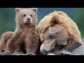 Vangelis - Ballad - Sergei Egorov Vangelis - Ballad