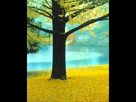 Upon Reflection - Heron