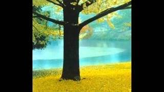 Heron - Upon Reflection