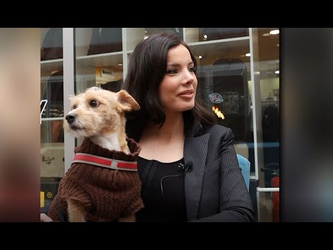 TEODORA BJELICA – Pas Žužana joj je pratilac čak i na setu!