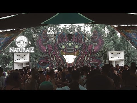 Yabba Dabba @ Naturaíz Festival