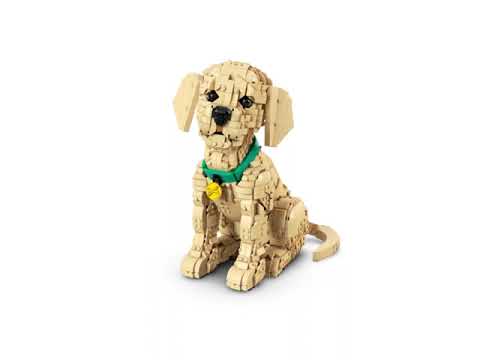 Vidéo LEGO Icons 11384 : Le chiot Golden Retriever