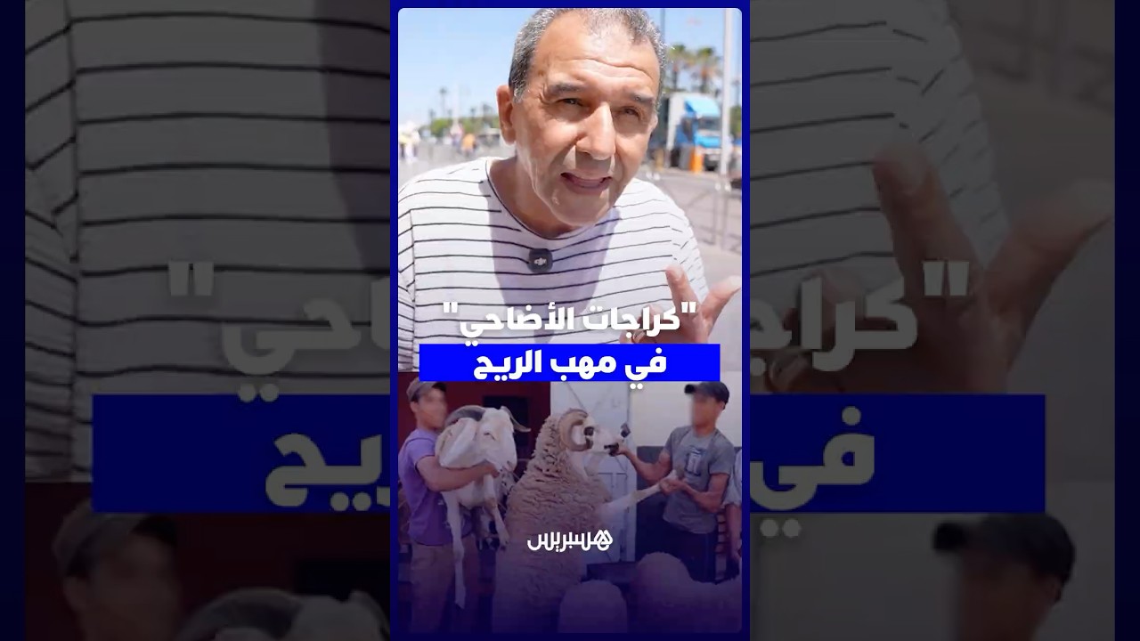 "كراجات الأضاحي" في مهب الريح.. قرار المنع يلقى استحسان مغاربة ويعيد النظام لشوارع المملكة thumbnail