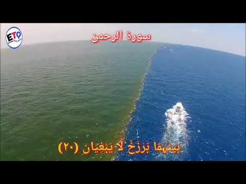 Ocean Two Color meet at the point ofid Ocean || Fresh Water Meets Sea Water-oundary Explained