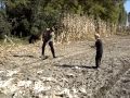 ХОРОШО В ДЕРЕВНЕ ЛЕТОМ 