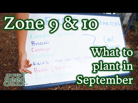 , title : 'What to Plant in September | Starting Seeds to Get Your Fall Garden Ready for Success'
