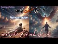 Islam Me Punar Janam Ki Haqeqat Kya Ha How Many Lifes Are There After Death Reincarnation