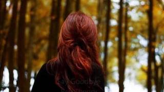 Say Goodbye  Rev Theory