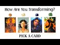 PICK A CARD 🦋 How Are You Transforming?