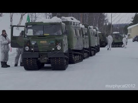 Bandvagns lead the way