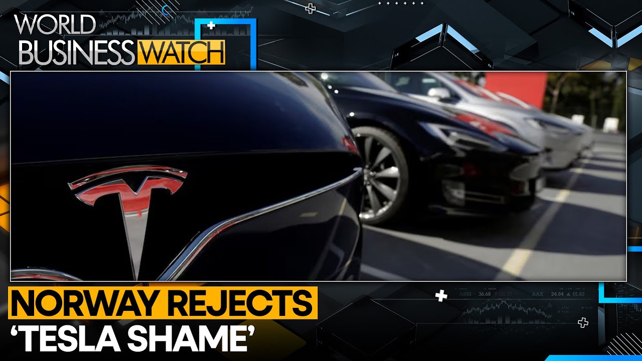 Norway Bucks Trend With 24% Tesla Sales Growth in 2025 | WION Business Watch