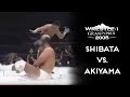W 1 Katsuyori Shibata Vs Jun Akiyama