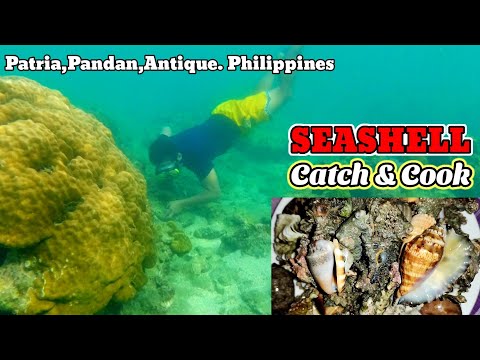 Part 2-Paninisid ng Panginhason ( seashell or Jumping shell )