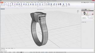 RhinoGold 5 0   Pull Push HD