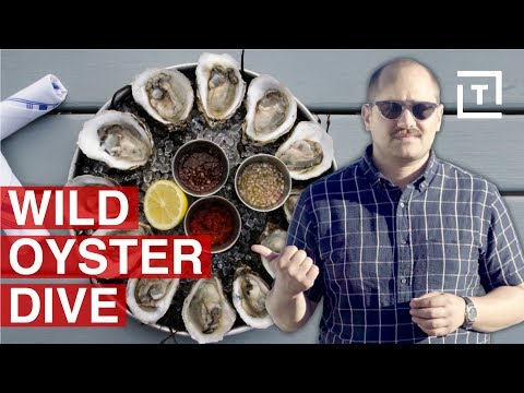 Long Island Has NY's Freshest Oysters || Food/Groups Video