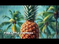 Pineapple Express - Trinity Sharpe (Npr Tiny Desk 2025)