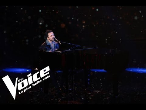 Véronique Sanson - Ma révérence - Jérôme Sebag | The Voice 2022 | Blind Audition