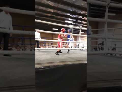 The young lion viliami vs kyle  chen