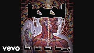 TOOL - Ticks \u0026 Leeches (Audio)