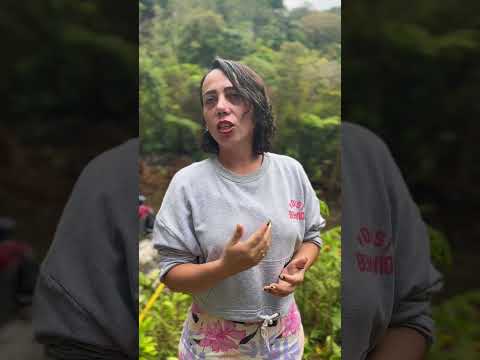 SEGUIMOS TRABAJANDO