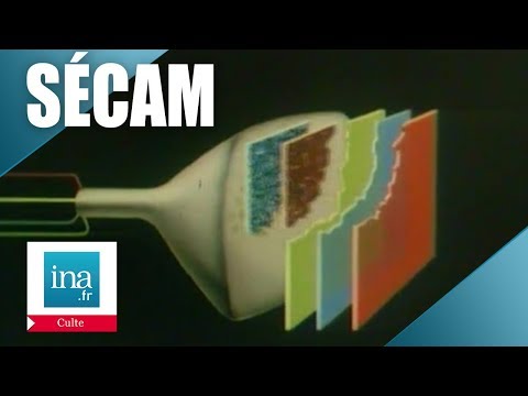 Le Sécam, comment ça marche ? | Archive INA