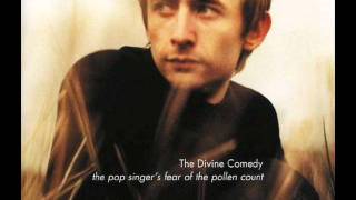 THE DIVINE COMEDY - WITH WHOM TO DANCE [THE MAGNETIC FIELDS COVER]