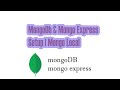 Mongo Express Setup As MongoDB Database Management Browser