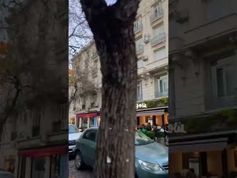 Qué lindo que es caminar por la plaza Castelli de Belgrano #walking #shorts #belgrano #buenosaires