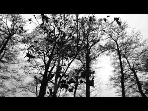 Bolszewo - Spacer Do Tesco