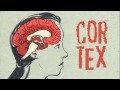 How Does Meditation Change The Brain Instant Egghead 54