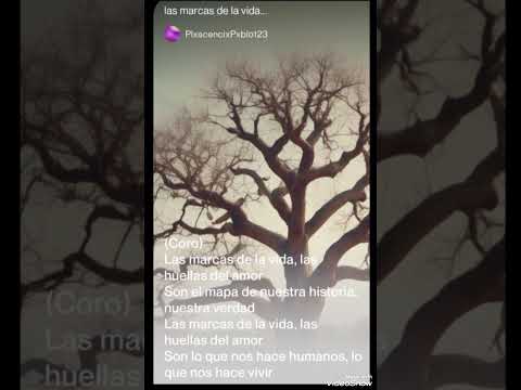 Las marcas de la vida...