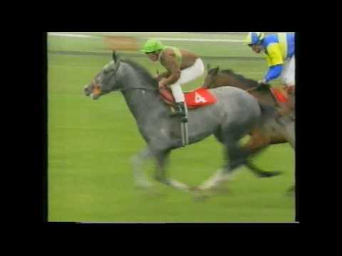 1991 European Free Handicap Mystico