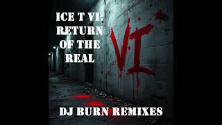 Ice T - Cramp Your Style (DJ Burn Remix)