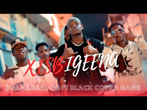 DALAS REAL OG FT BLACK COPRA GANG | XISBIGEENA OFFICIAL MUSIC VIDEO