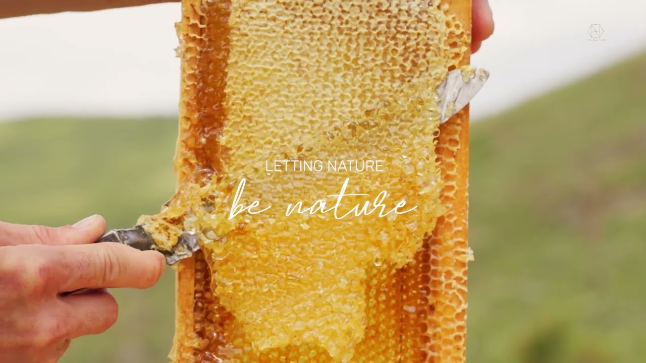Trust Necta & Hive for your breakfast