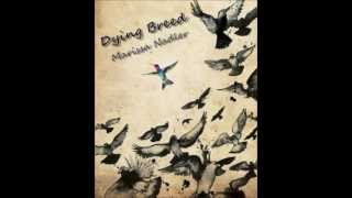 Dying Breed - Marissa Nadler (lyrics)